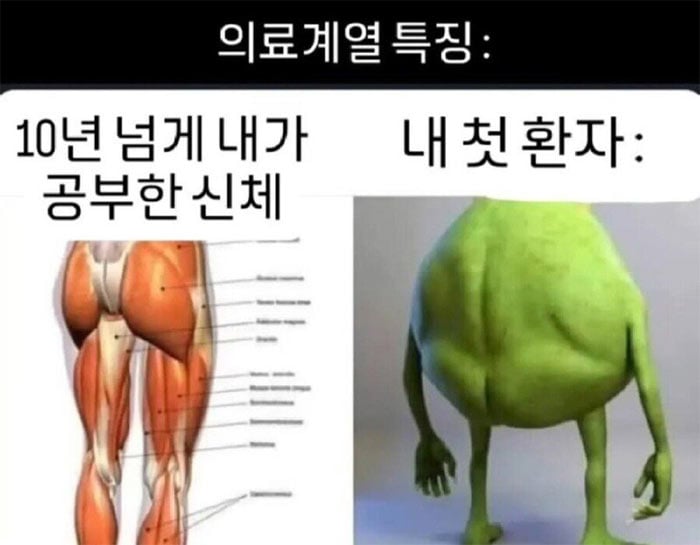 정형외과 전공의가 첨 겪는 시련 | 인스티즈