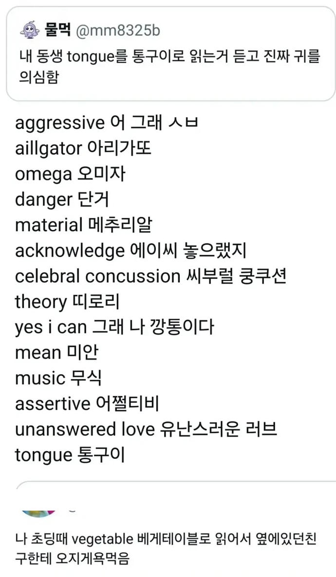 내 동생의 영어 발음 | 인스티즈