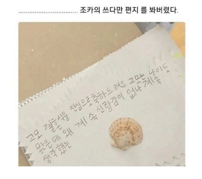 조카의 쓰다만 편지 | 인스티즈