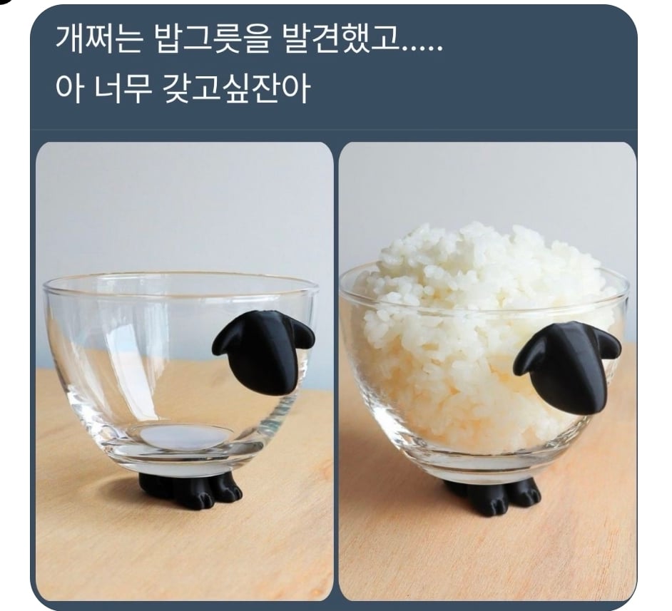 개쩌는 밥그릇을 발견,, | 인스티즈