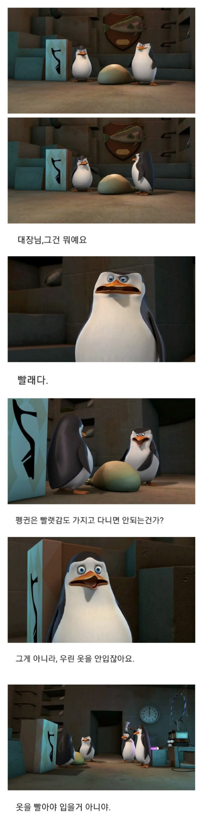 펭귄이 옷을 입지 않은 이유 | 인스티즈