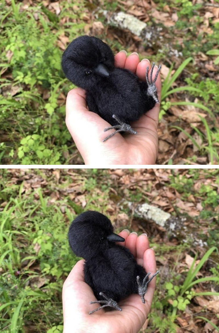 까마귀 새끼 | 인스티즈