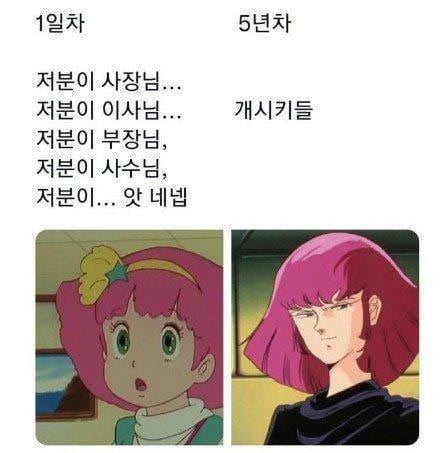 회사 1일차 vs 5년차 | 인스티즈