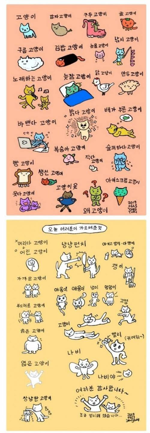 고양이 이용 한글 공부법 | 인스티즈