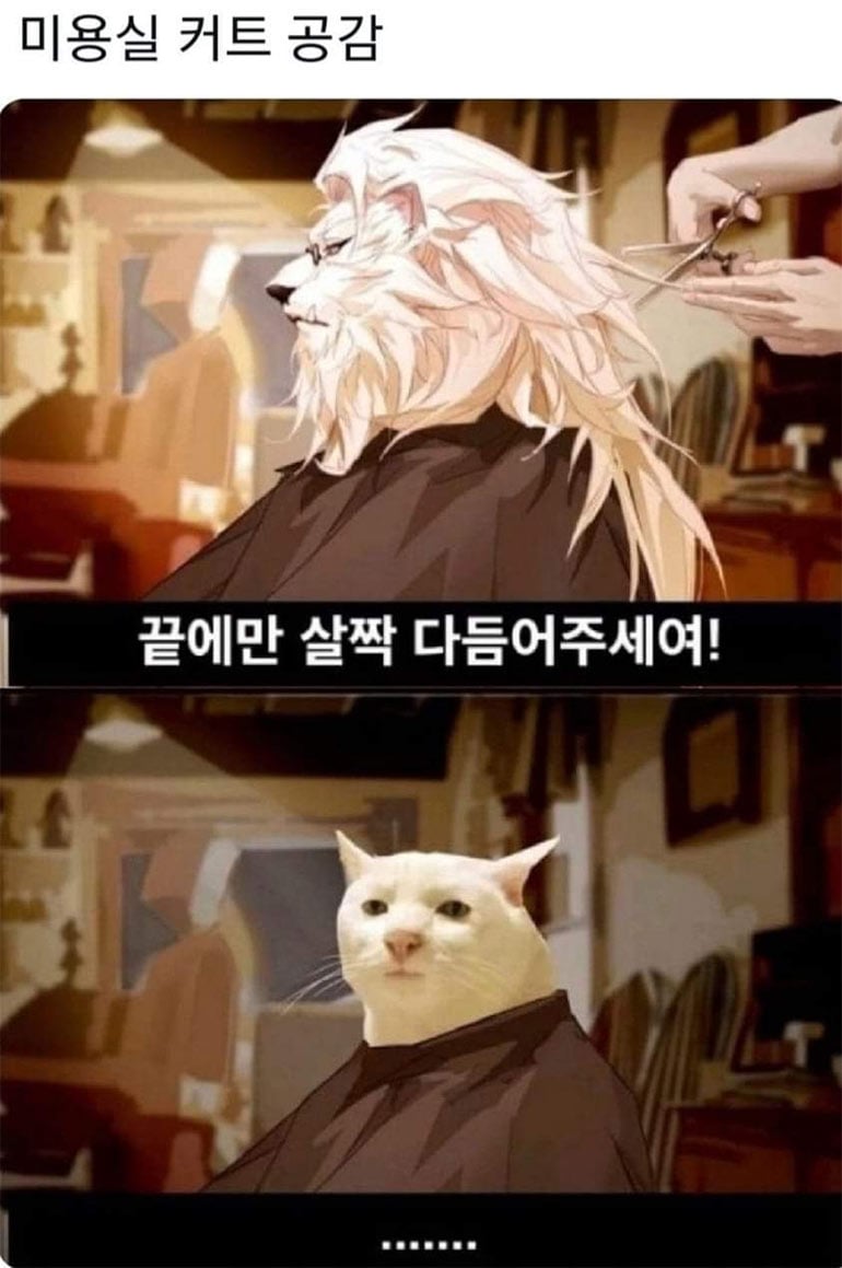 미용실 커트 공감 | 인스티즈