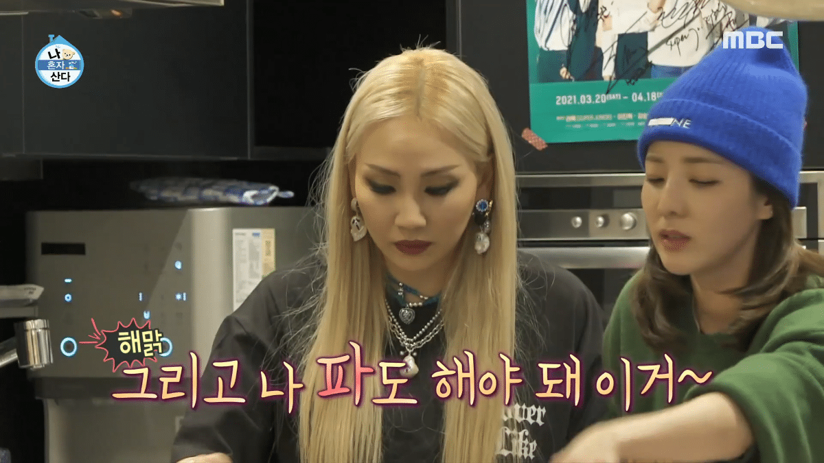 알고 보니 유해진-겨울이(반려견) 관계였던 CL-산다라박 | 인스티즈