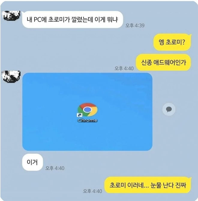 초로미가 깔렸는데.. | 인스티즈