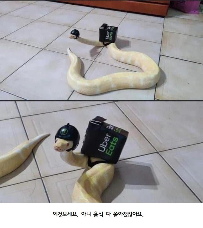 배달 알바 코스프레 | 인스티즈