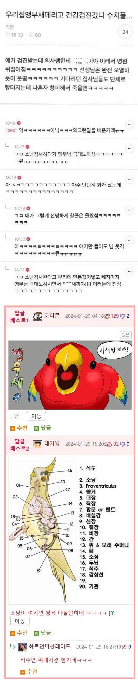 앵무새 검진받다 극대노 | 인스티즈