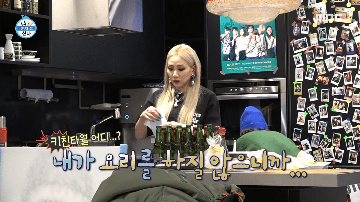 알고 보니 유해진-겨울이(반려견) 관계였던 CL-산다라박 | 인스티즈
