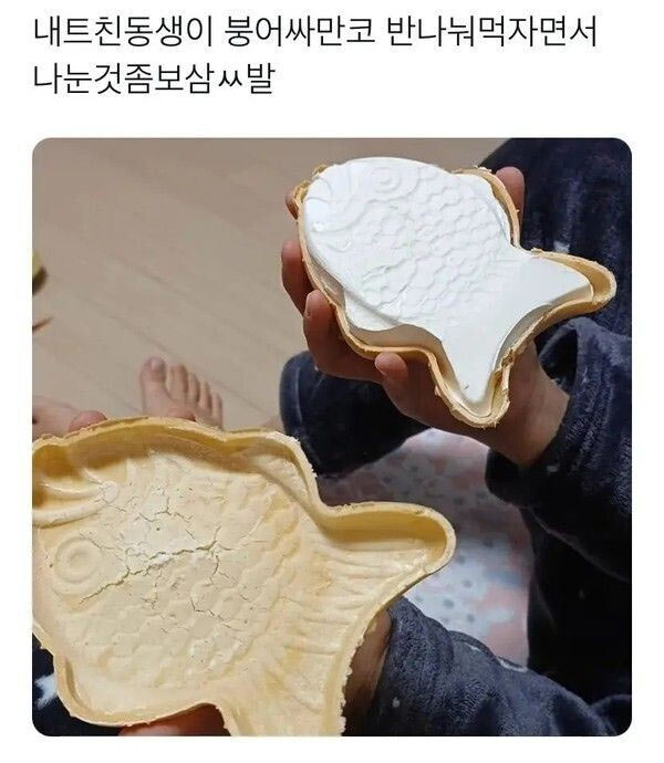 붕어싸만코 반 나눠주는 동생 | 인스티즈