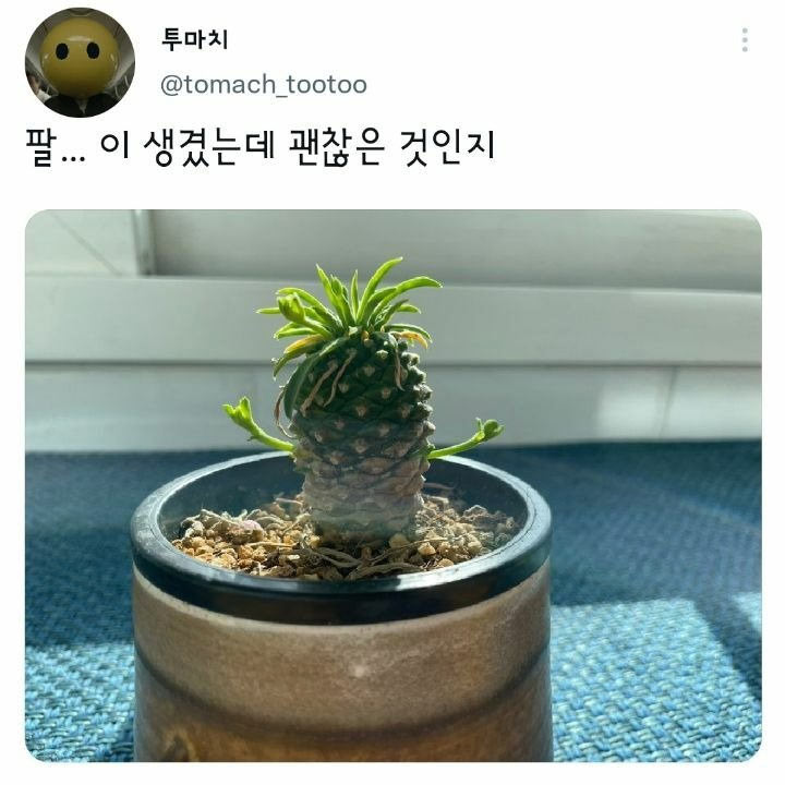 팔이...생겼어요 | 인스티즈