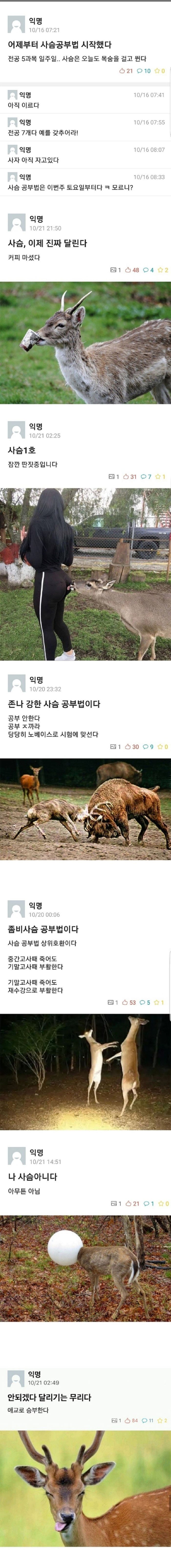 사슴 공부법 시작 | 인스티즈