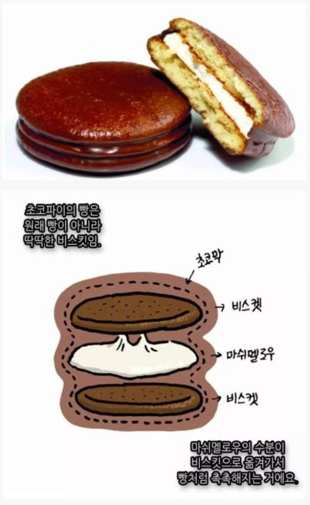 초코파이의 진실 | 인스티즈