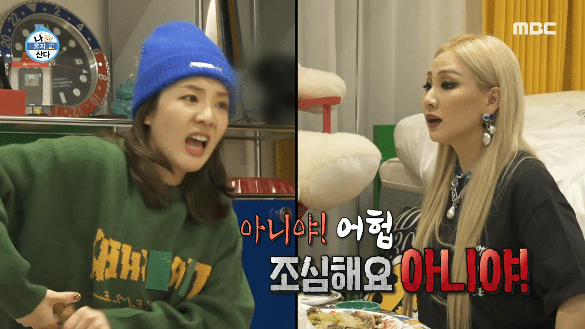 알고 보니 유해진-겨울이(반려견) 관계였던 CL-산다라박 | 인스티즈