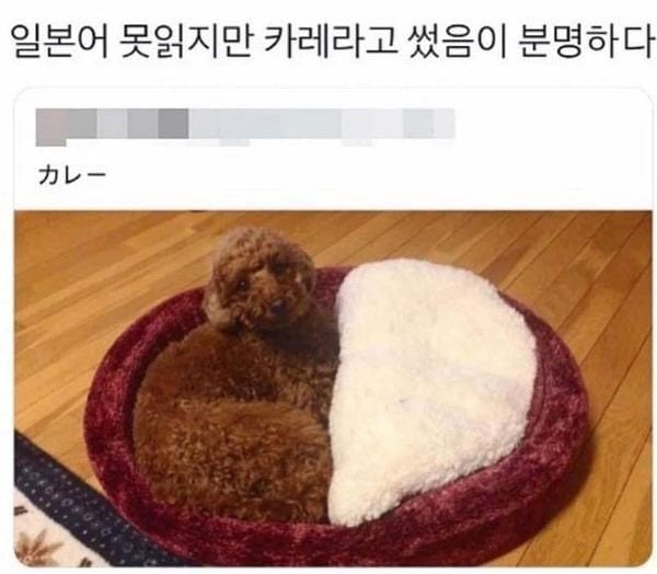 일본어를 못 읽는데 읽어버렸다 | 인스티즈
