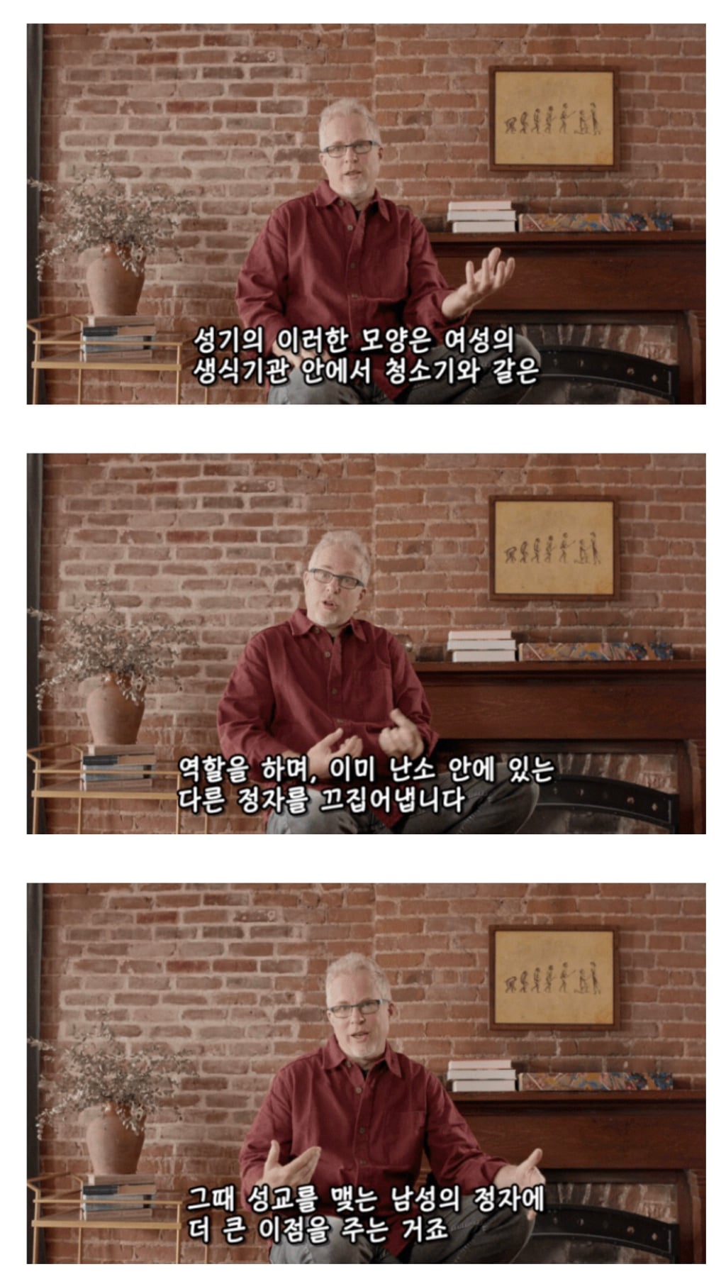 인간이 난교하도록 진화했다는 증거 ㄷㄷㄷㄷㄷㄷㄷ | 인스티즈