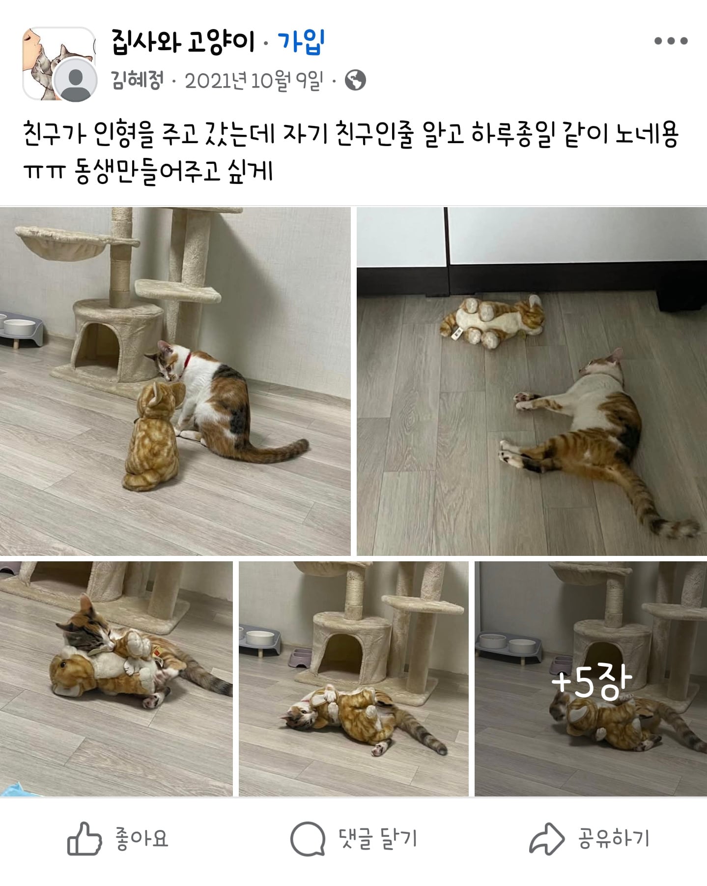 친구가 인형을 주고 갔는데 자기 친구인줄 알고 하루종일 같이 노네용ㅠㅠ | 인스티즈