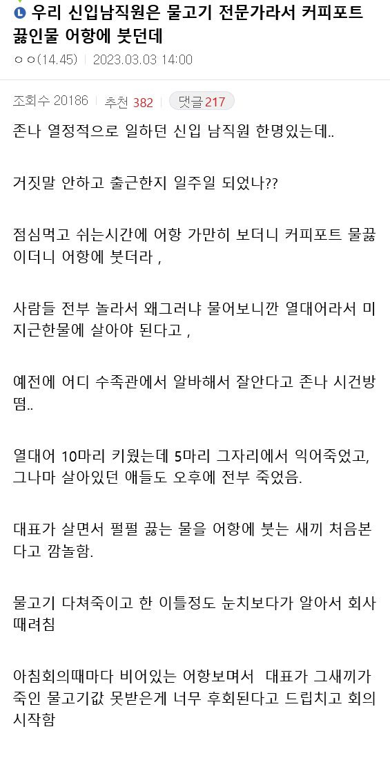 물고기 전문가 신입 | 인스티즈