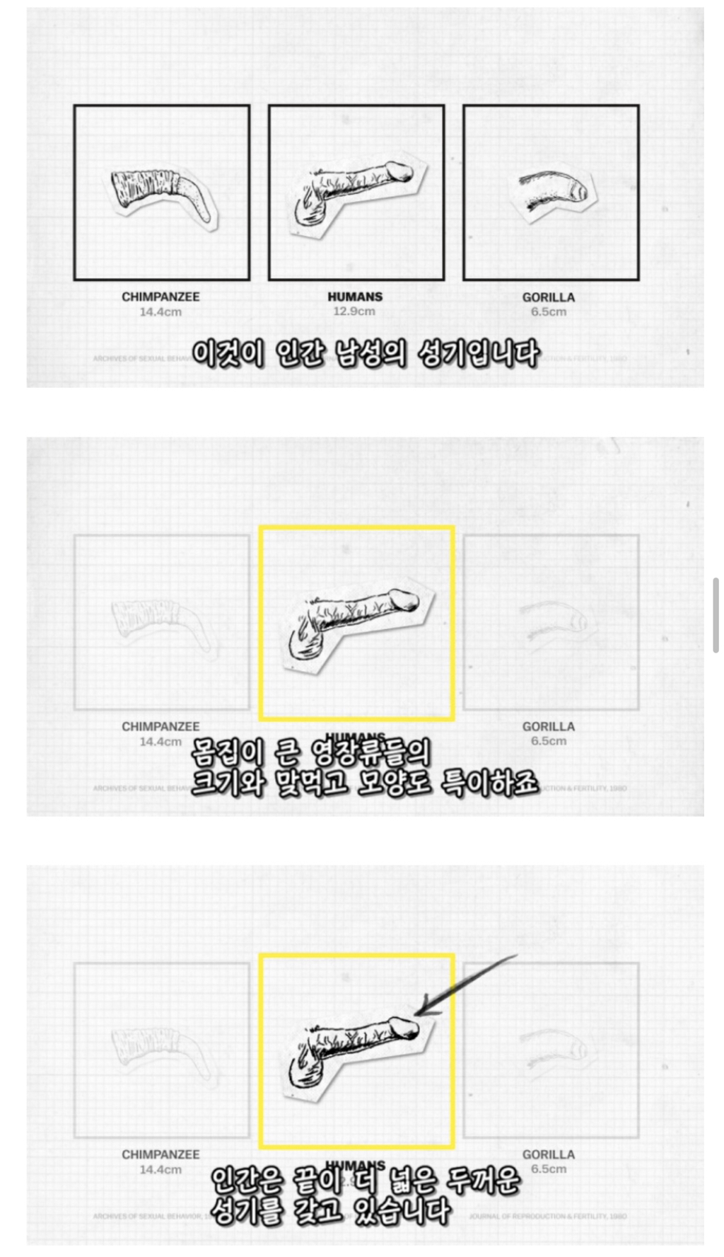 인간이 난교하도록 진화했다는 증거 ㄷㄷㄷㄷㄷㄷㄷ | 인스티즈