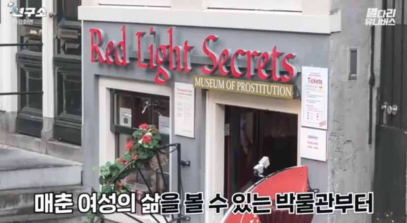 네덜란드 홍등가에서 볼 수 있다는 쇼 | 인스티즈