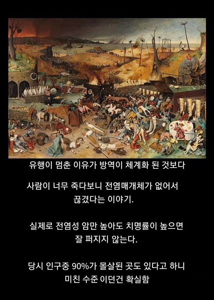 중세의 흑사병이 유행 멈춘 이유 썰중 하나 | 인스티즈