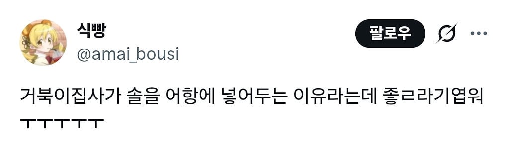 거북이집사가 어항에 솔을 넣어둔 이유.gif | 인스티즈