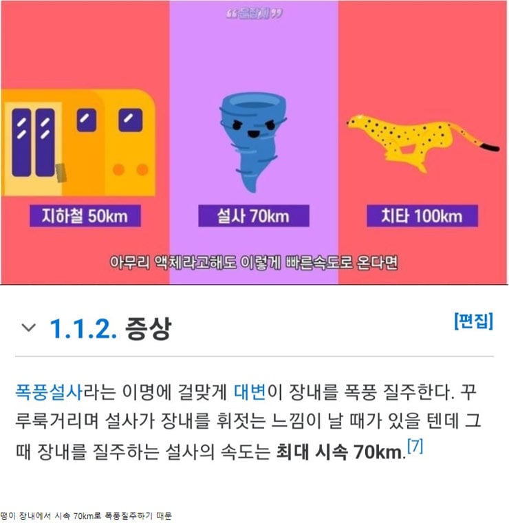 폭풍 설사의 속도 | 인스티즈