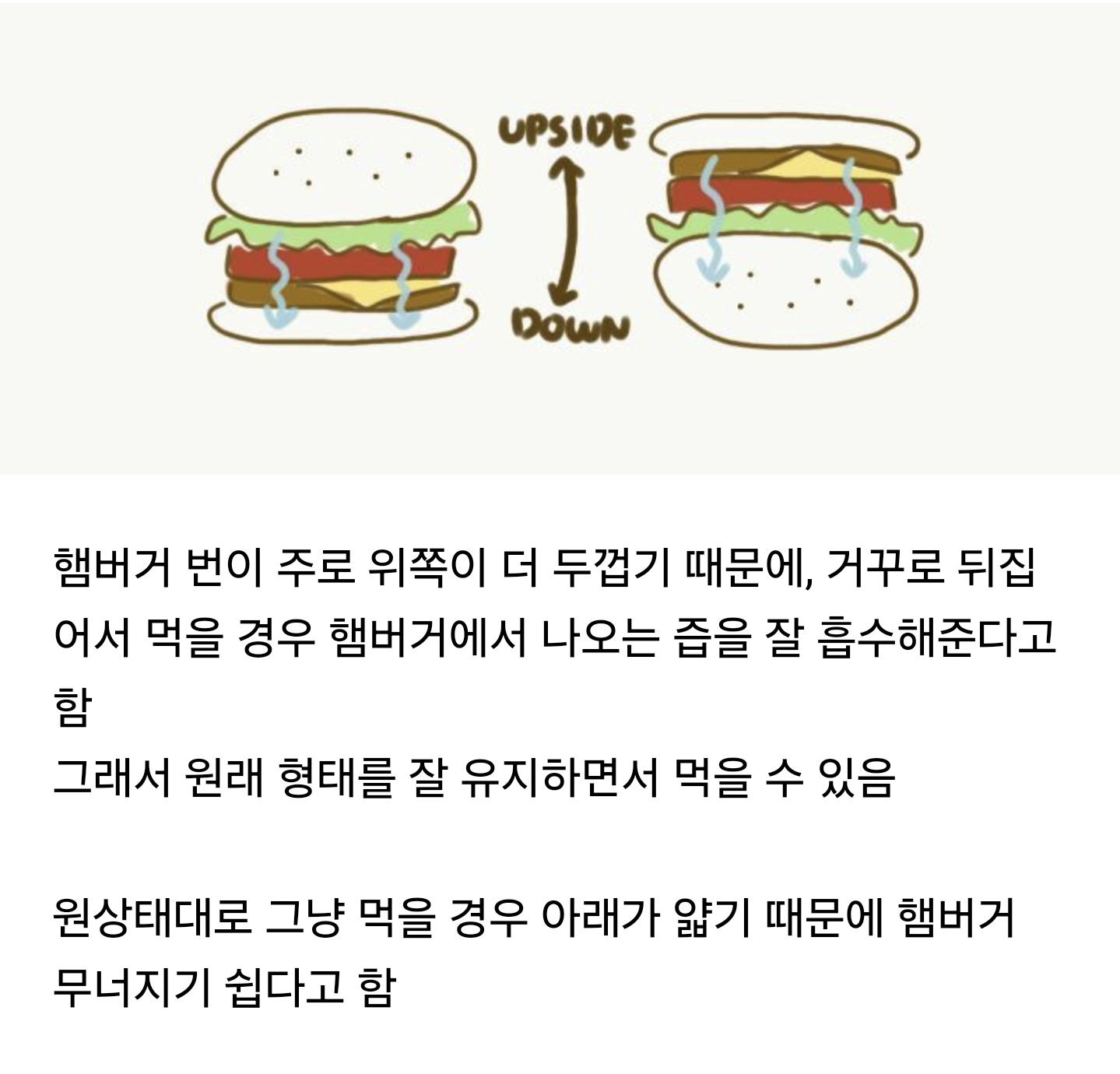 햄버거를 거꾸로 먹어야 하는 이유 | 인스티즈