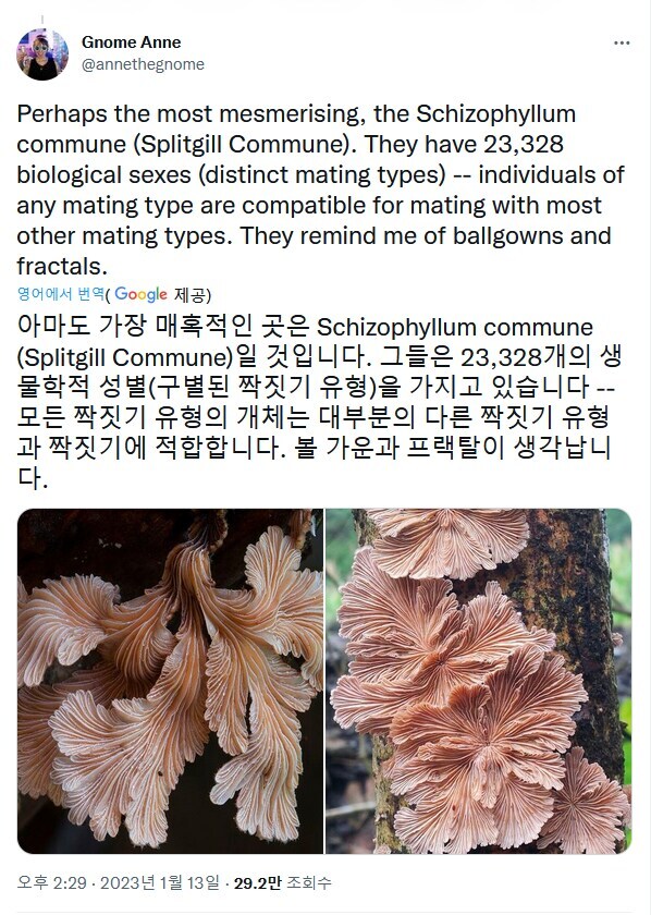 지구상에서 가장 성별이 많은 생물 | 인스티즈