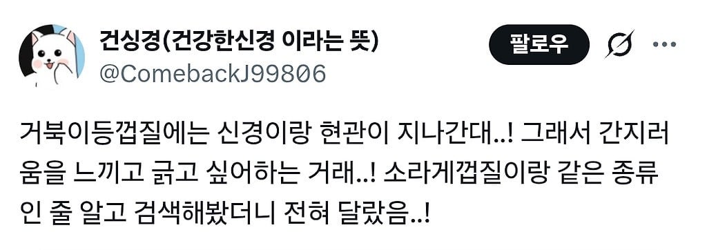 거북이집사가 어항에 솔을 넣어둔 이유.gif | 인스티즈