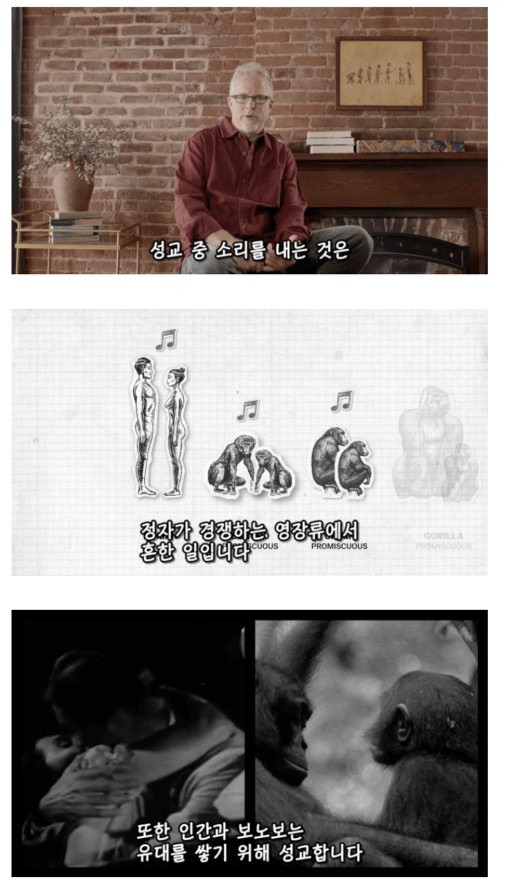 인간이 난교하도록 진화했다는 증거 ㄷㄷㄷㄷㄷㄷㄷ | 인스티즈