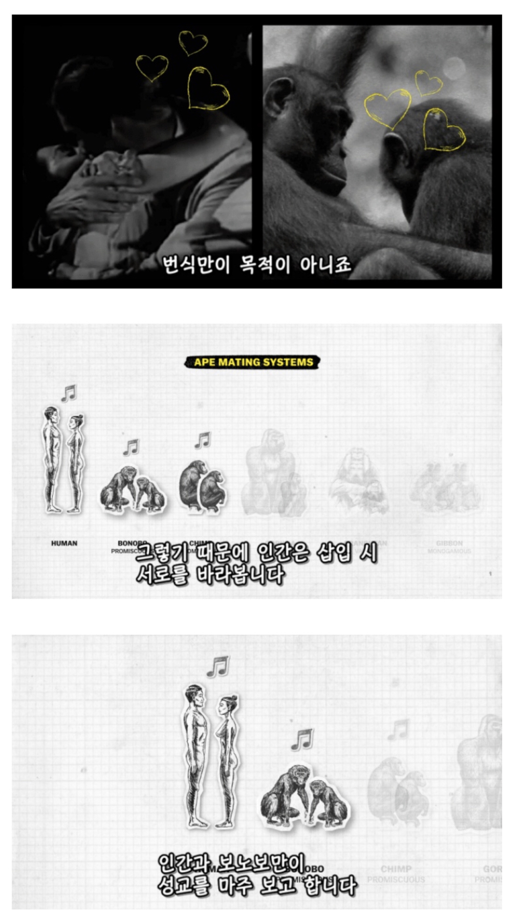 인간이 난교하도록 진화했다는 증거 ㄷㄷㄷㄷㄷㄷㄷ | 인스티즈