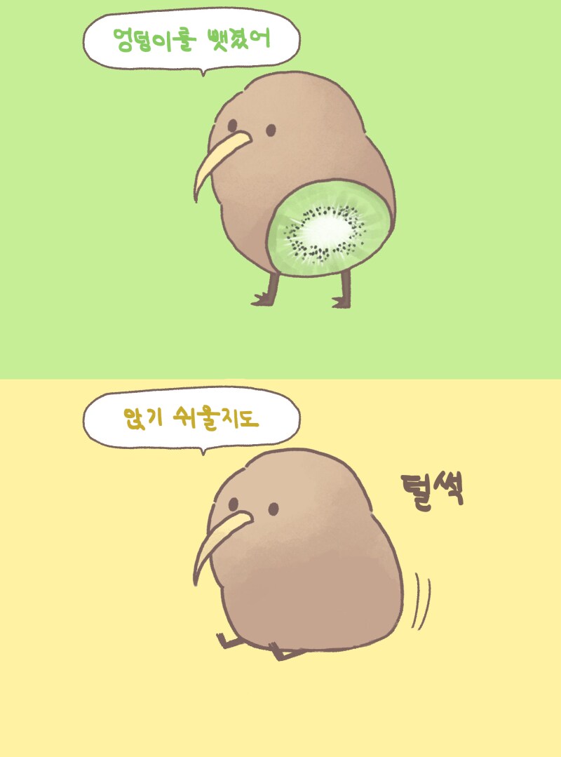 키위적 사고.jpg | 인스티즈