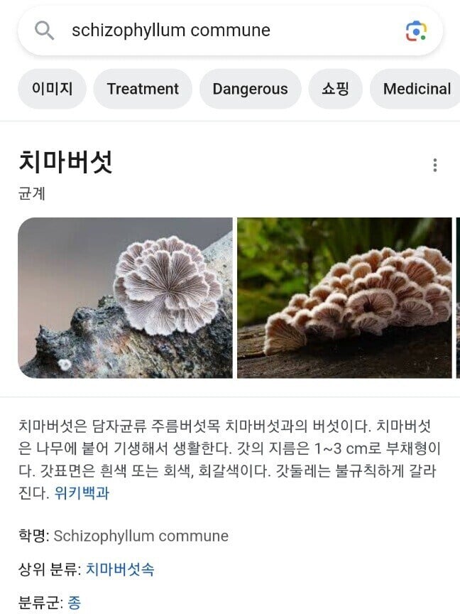 지구상에서 가장 성별이 많은 생물 | 인스티즈
