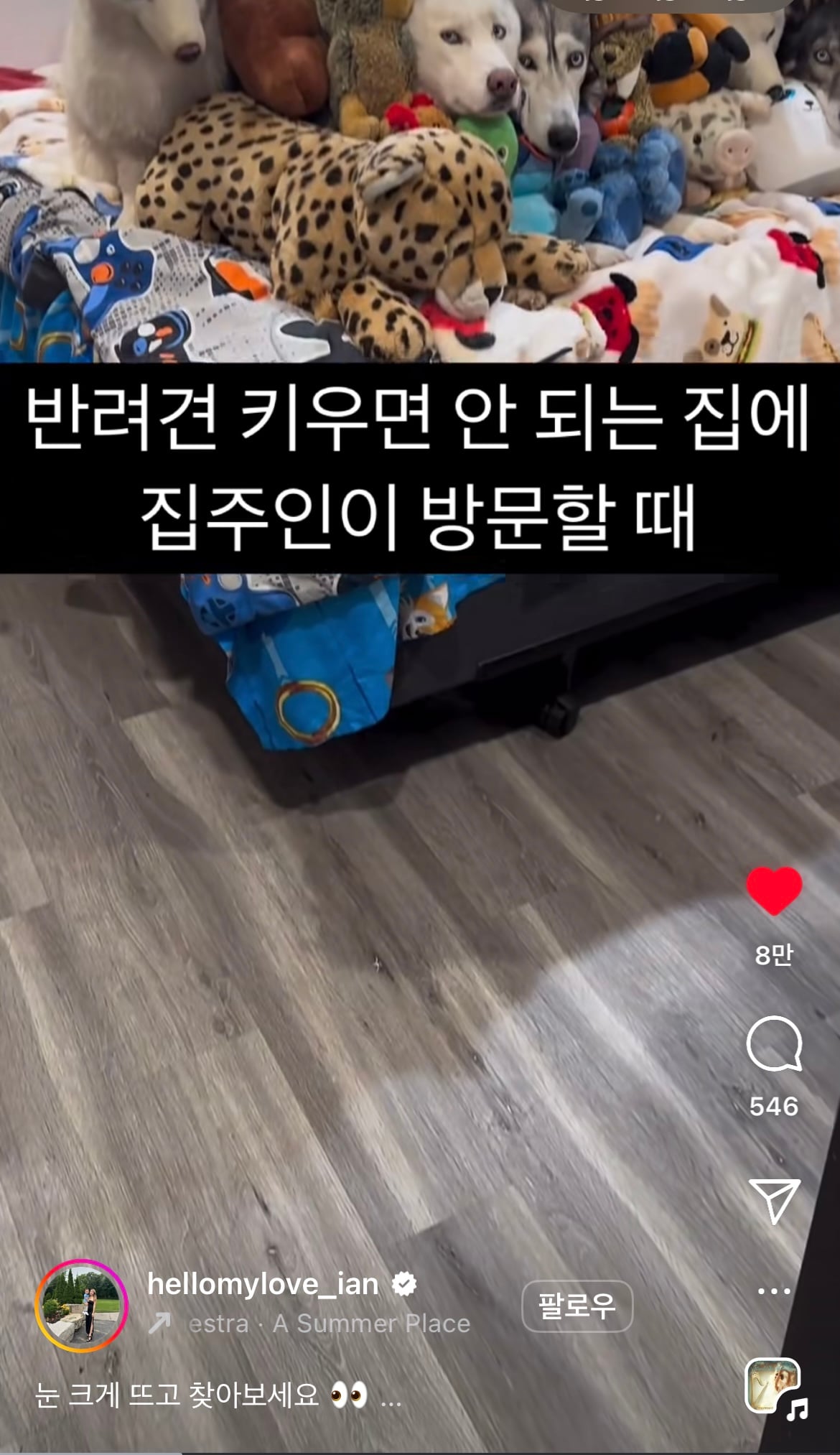 반려견 키우면 안 되는 집에 집주인이 방문할 때 | 인스티즈