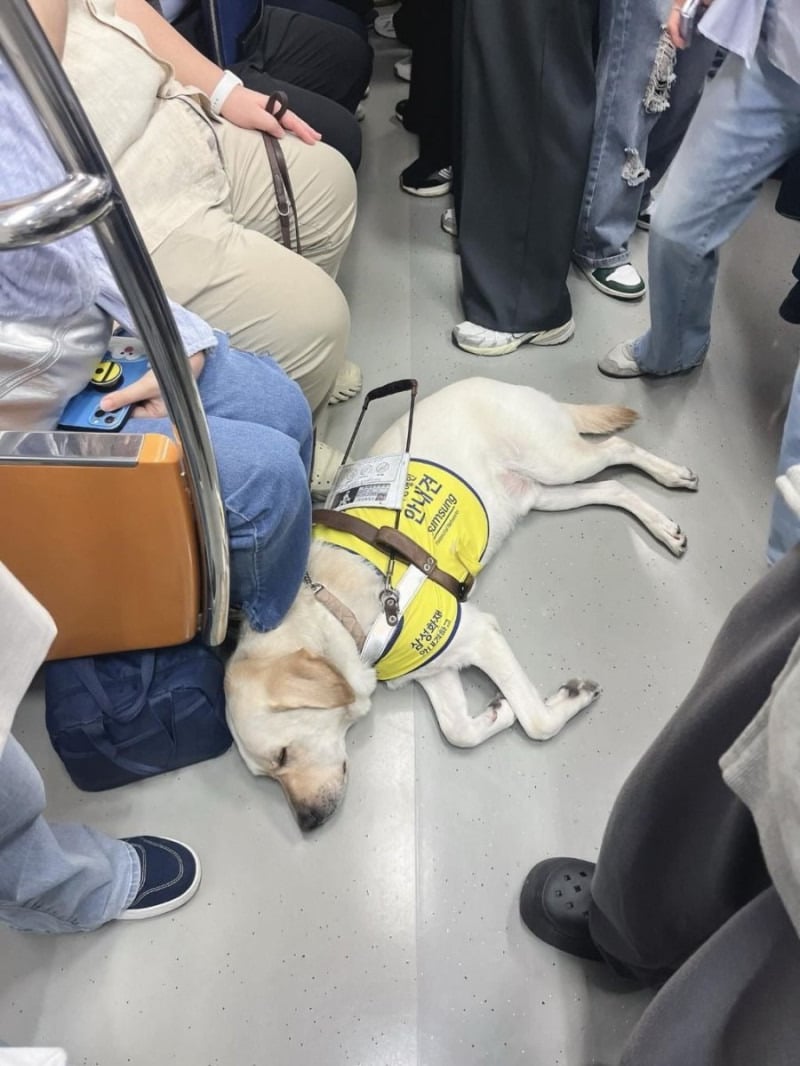 출근길 만원 지하철에서 느꼈던 따스함.jpg | 인스티즈