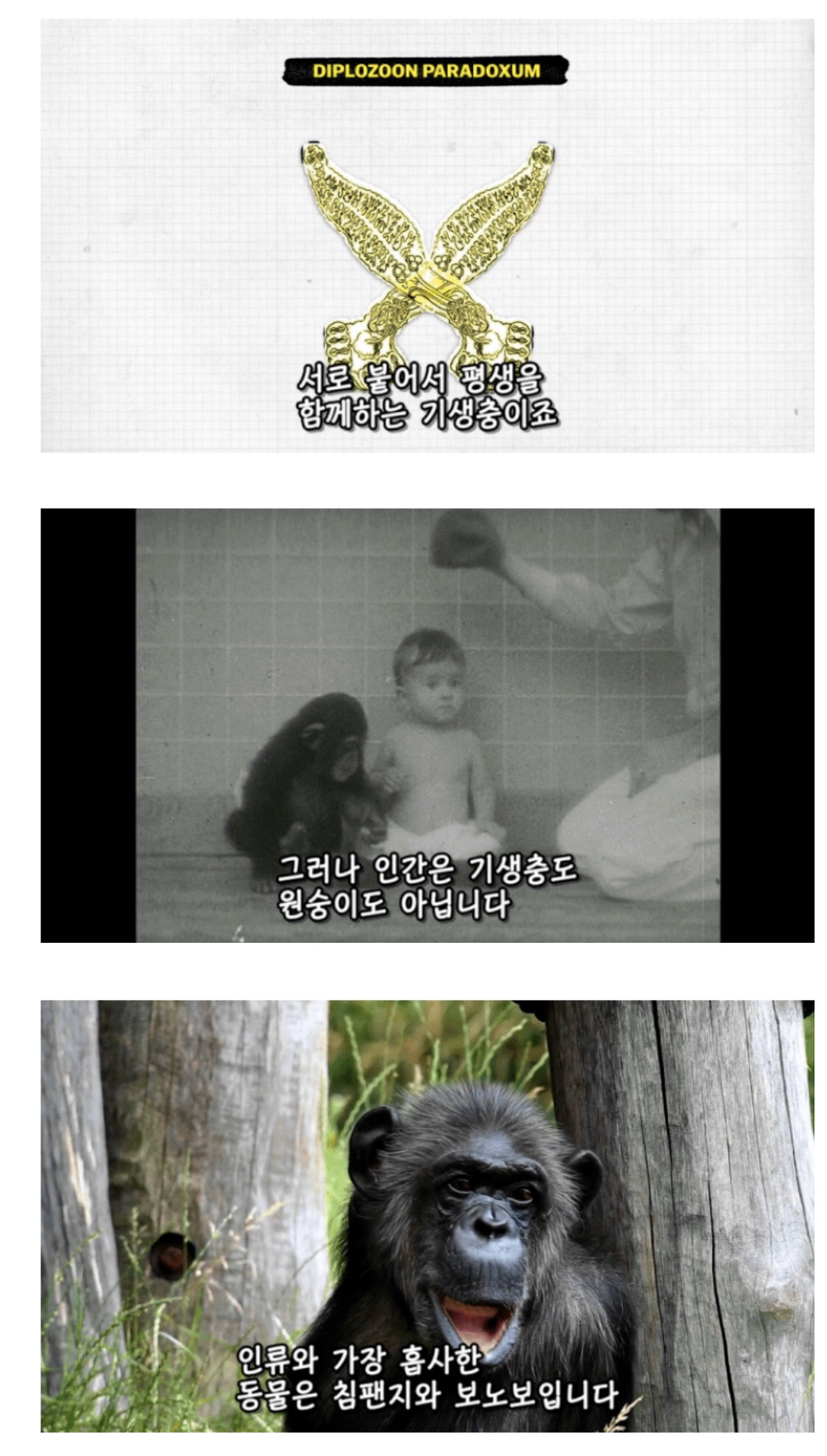 인간이 난교하도록 진화했다는 증거 ㄷㄷㄷㄷㄷㄷㄷ | 인스티즈