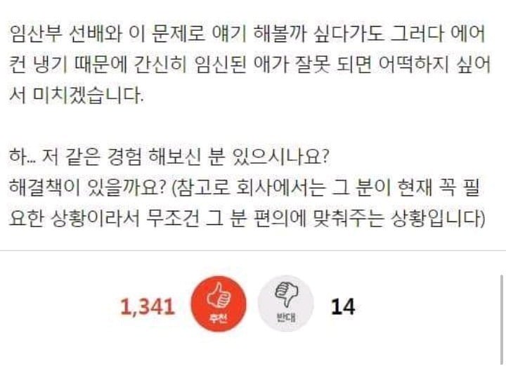 임산부 선배 때문에 이날씨에 에어컨을 끕니다 | 인스티즈