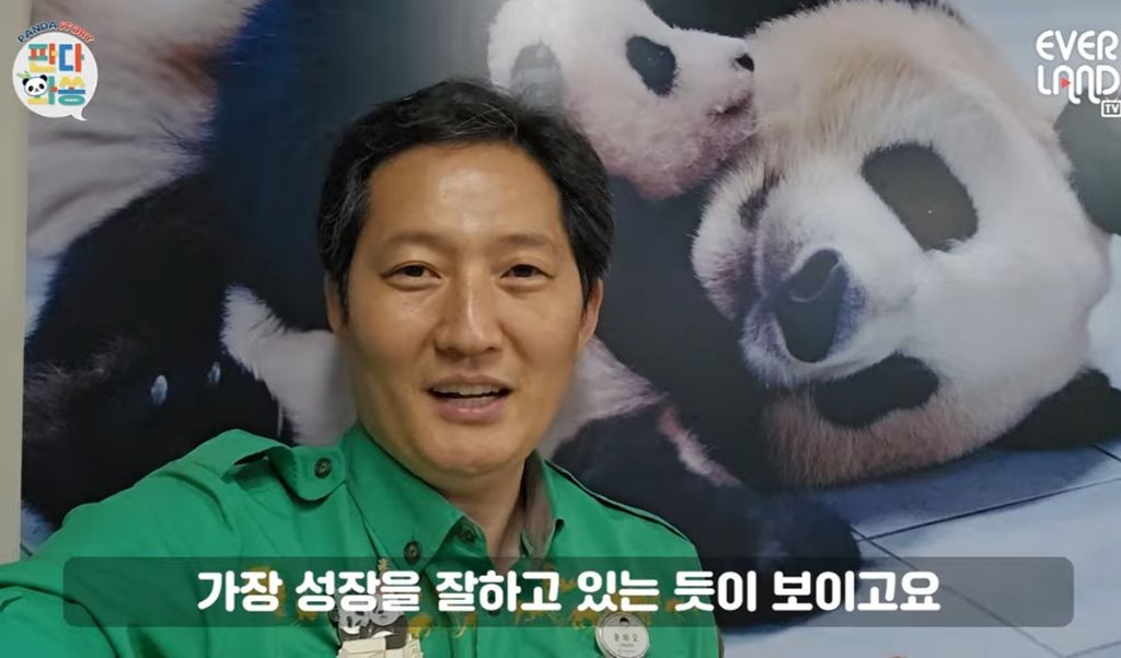 송바오 피셜 역대 아기판다들 중 가장 잘 성장하고 있다는 막냉이 넷째바오 🐼 | 인스티즈