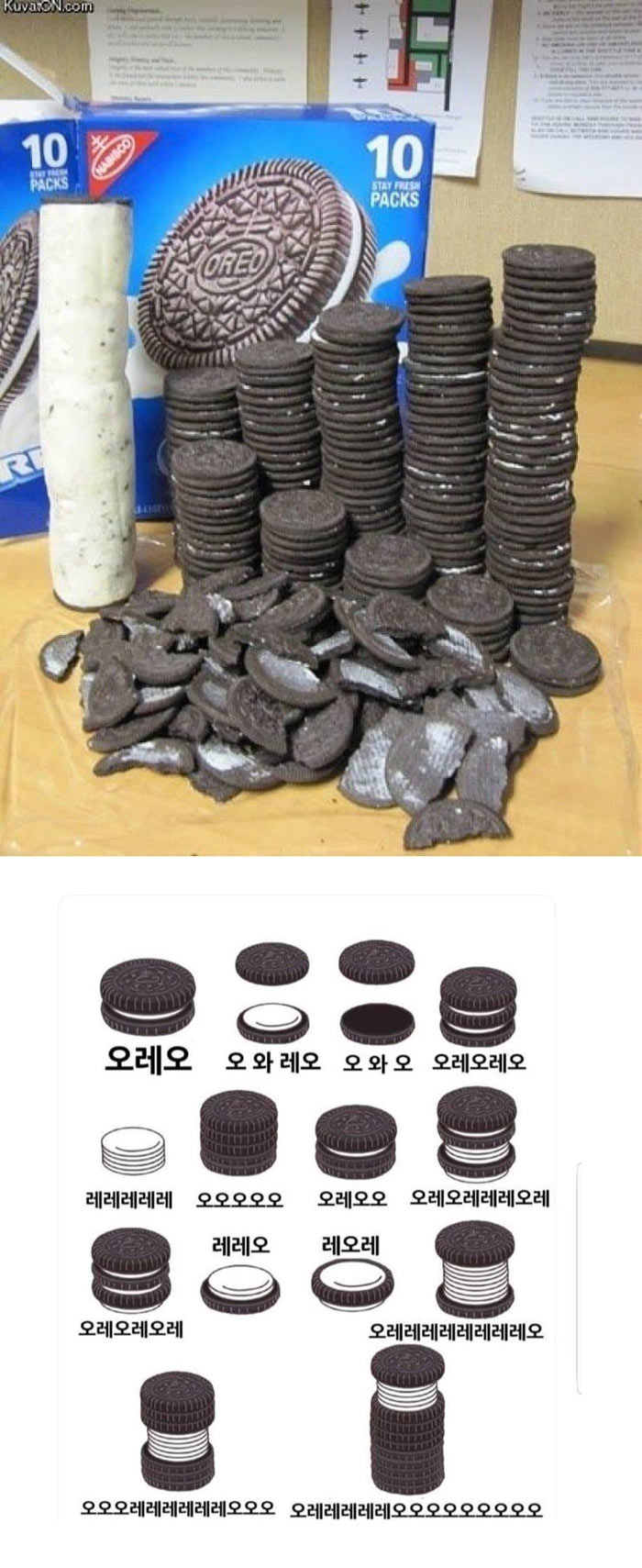 오레오 맛있게 먹기 | 인스티즈