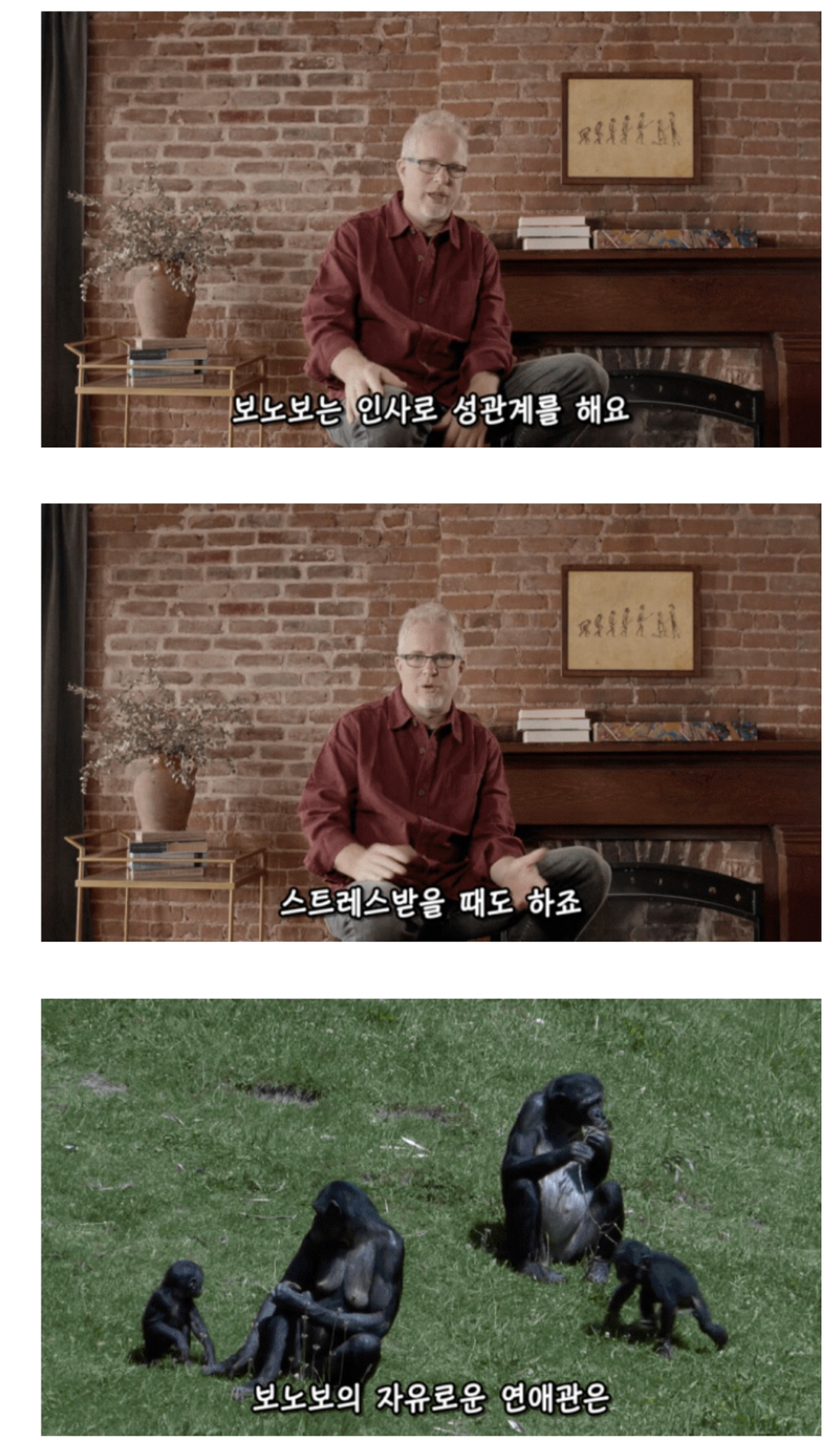 인간이 난교하도록 진화했다는 증거 ㄷㄷㄷㄷㄷㄷㄷ | 인스티즈