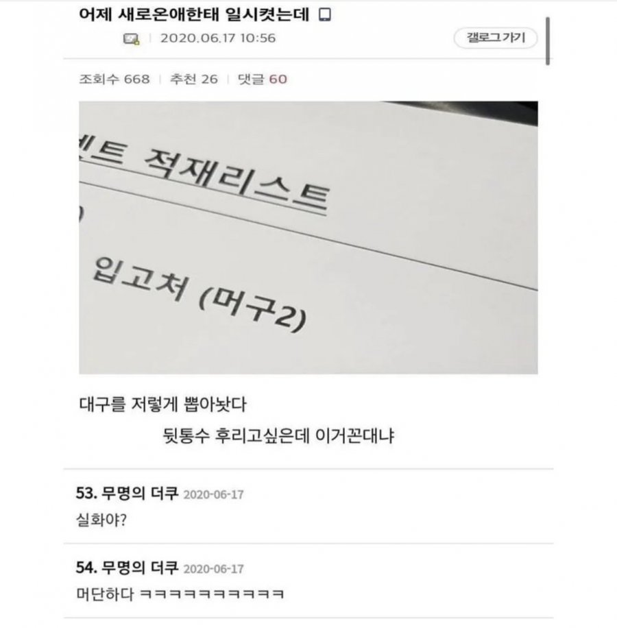 신입한테 일 시켰는데 지적하면 꼰대냐 | 인스티즈