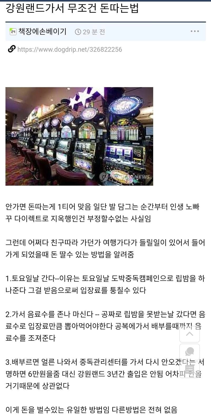 강원랜드에서 무조건 돈 버는 방법 | 인스티즈