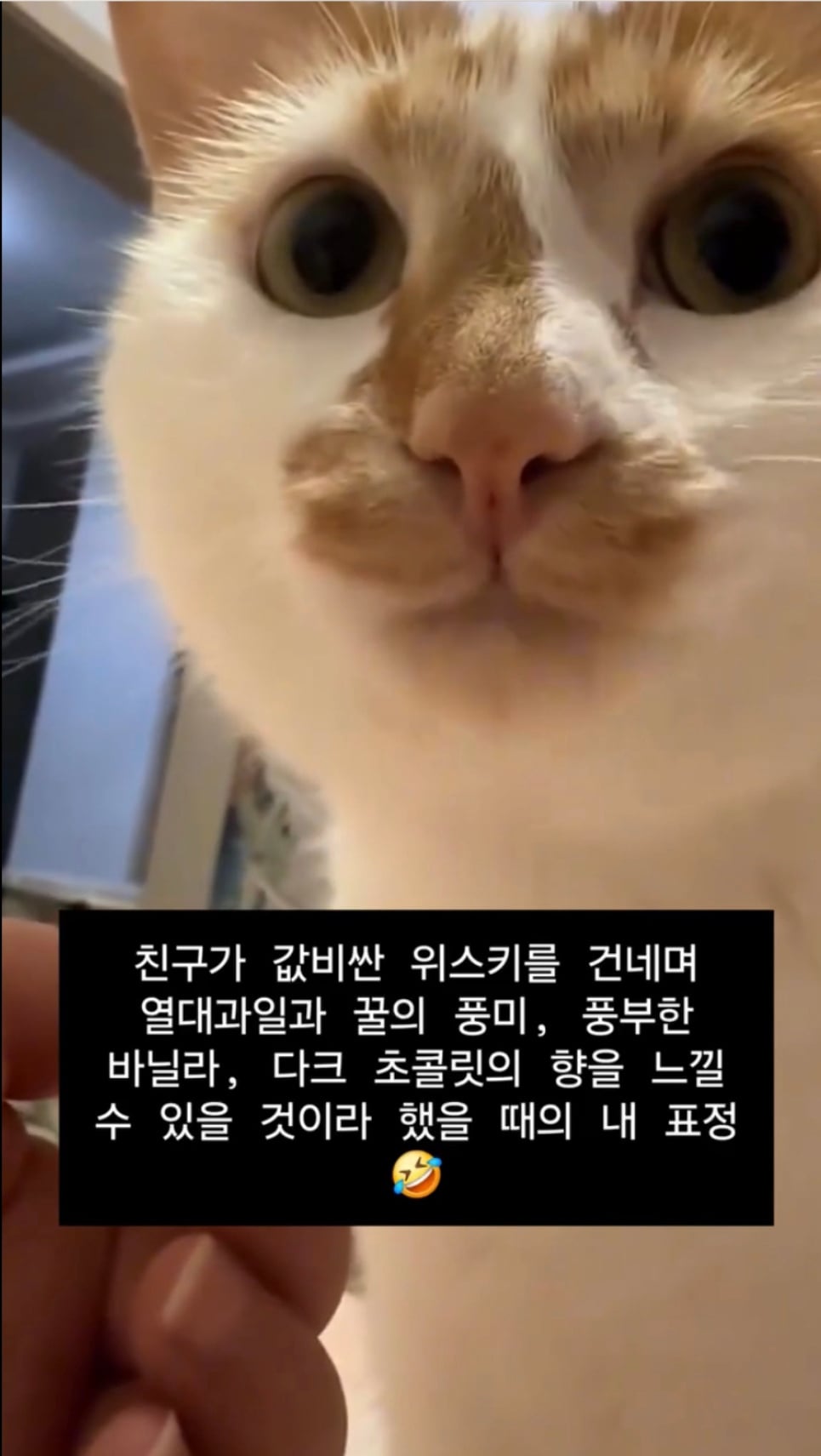 친구가 값비싼 위스키를 건네며 | 인스티즈