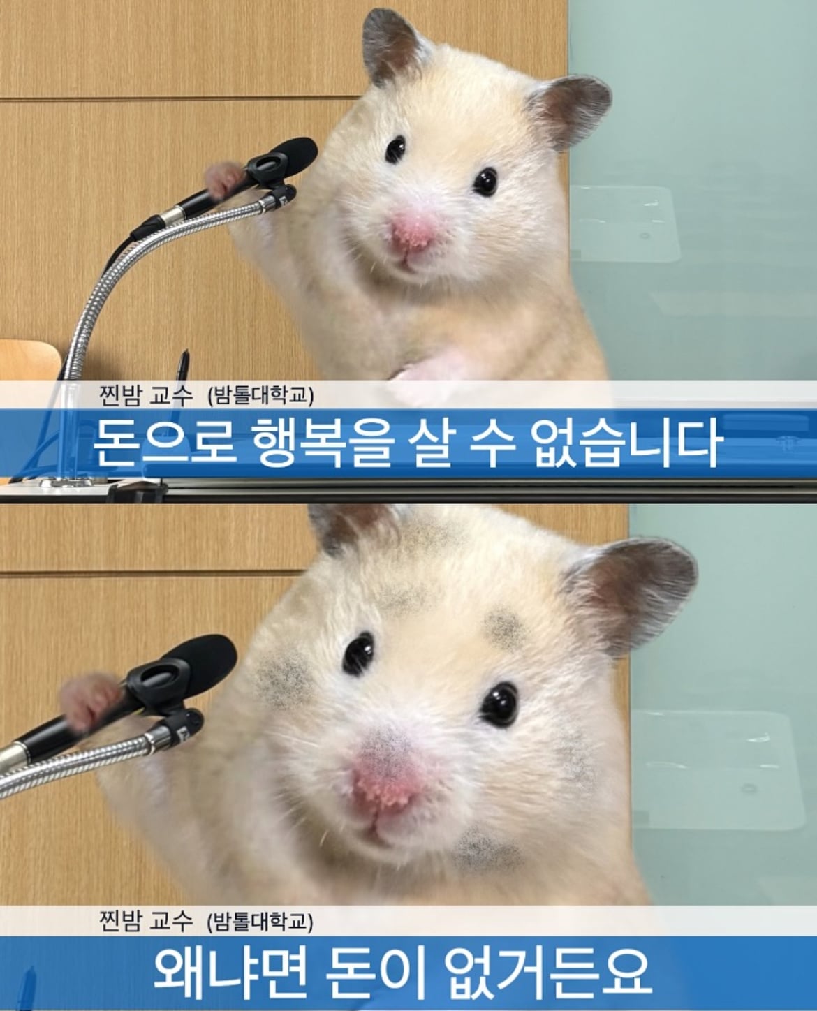 돈으로 행복을 살 수 없는 진짜 이유 | 인스티즈