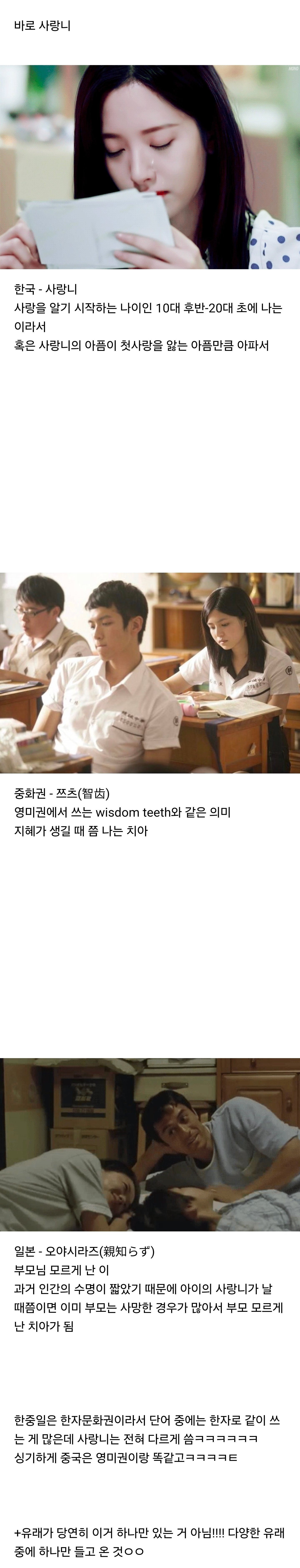 같은 한자문화권 한중일이 서로 전혀 다르게 말하는 단어 | 인스티즈