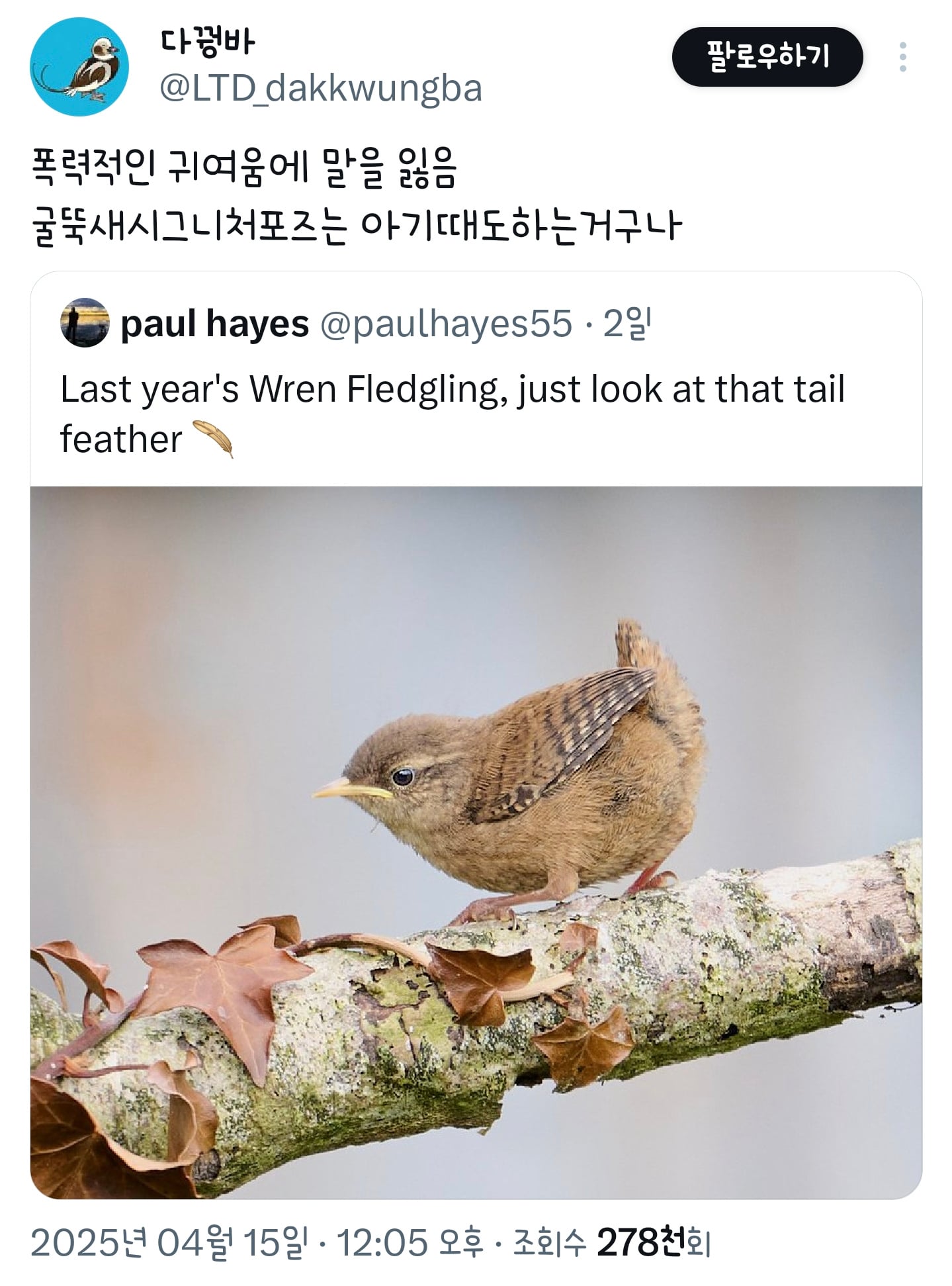 폭력적인 귀여움에 말을 잃음 | 인스티즈