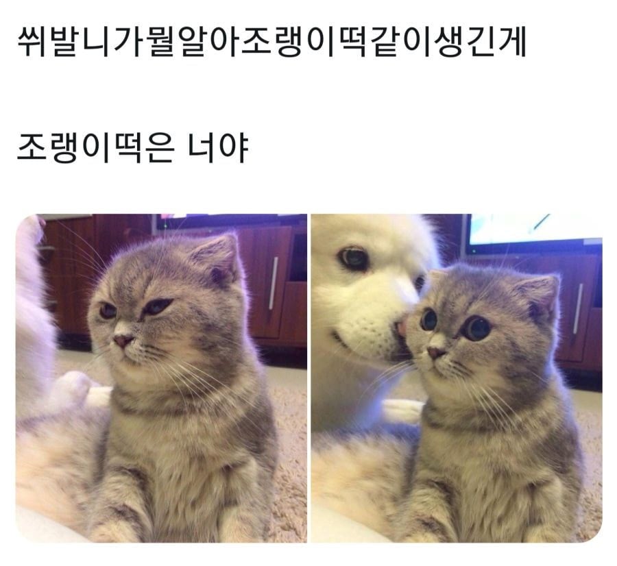 조랭이 떡.jpg | 인스티즈