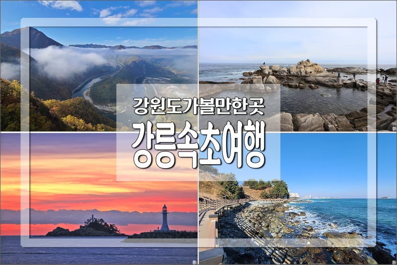 강원도 바다여행 하면 의견 갈린다는 두 곳 | 인스티즈